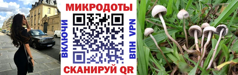 наркота  Верхнеуральск  Псилоцибиновые грибы мухоморы 